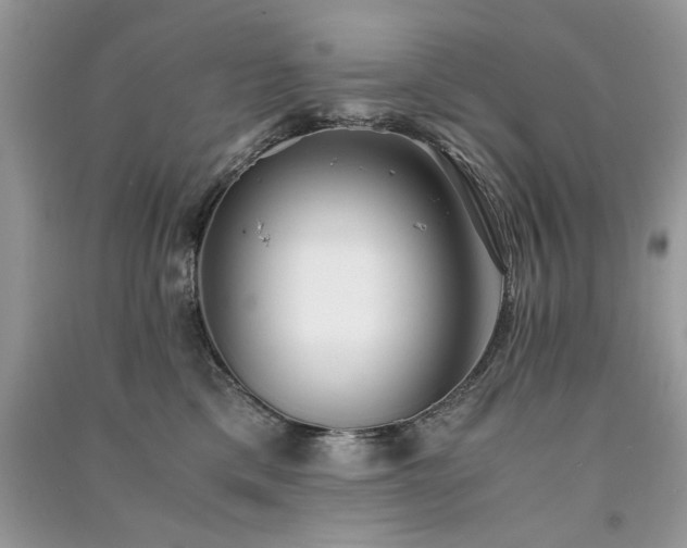 X0000091300425200708101312