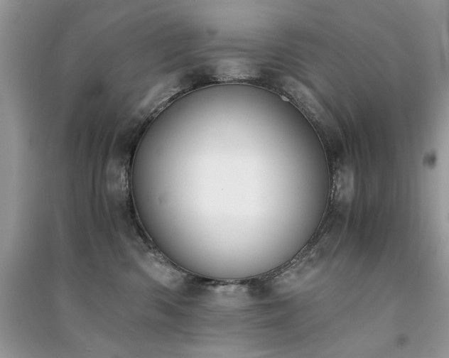 X0000091300426200708101312