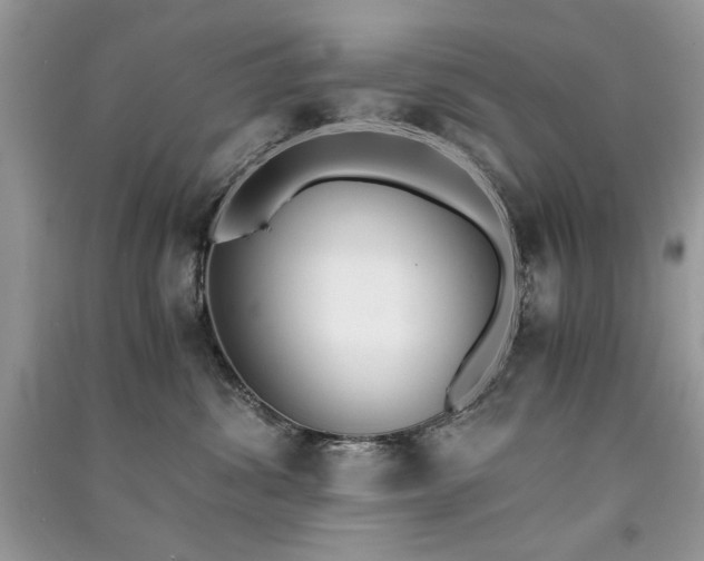 X0000091300428200708101312