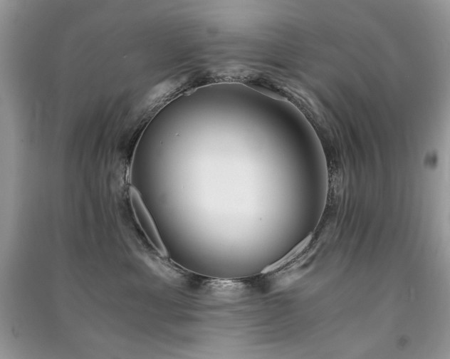 X0000091300429200708101312