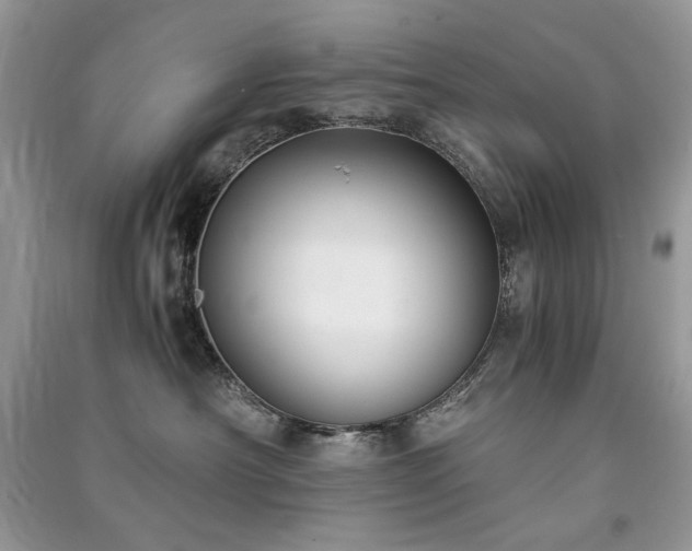 X0000091300430200708101312