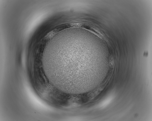 X0000091300431200708101312