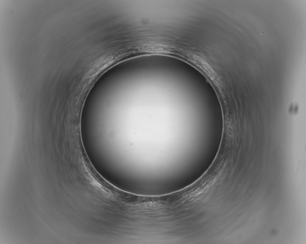 X0000091300433200708101311