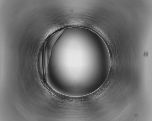 X0000091300434200708101311