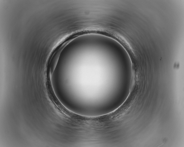 X0000091300436200708101311