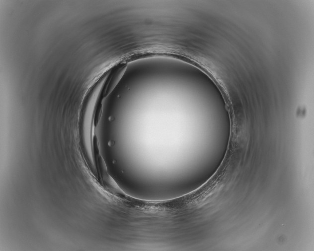 X0000091300437200708101311