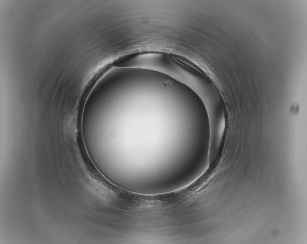 X0000091300438200708101311