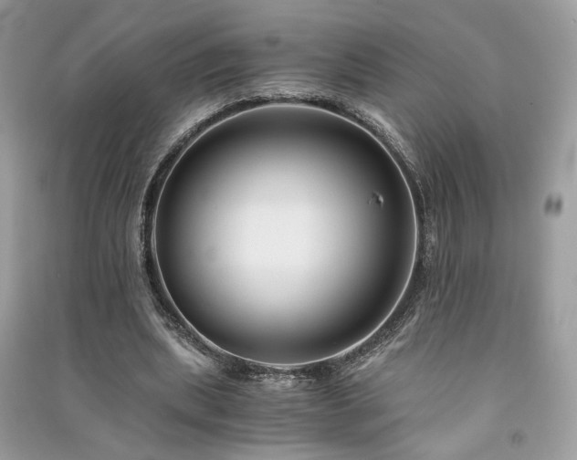 X0000091300439200708101311