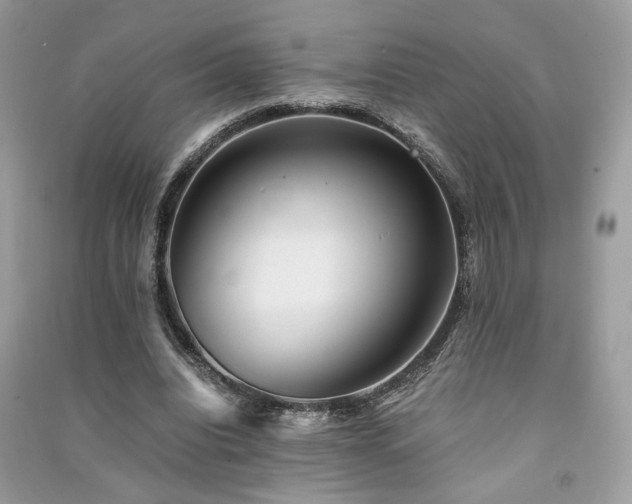 X0000091300440200708101311