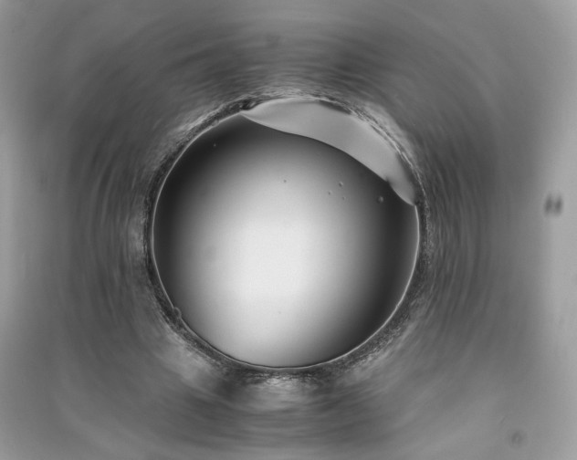 X0000091300441200708101311