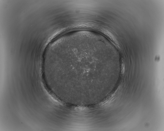 X0000091300444200708101311