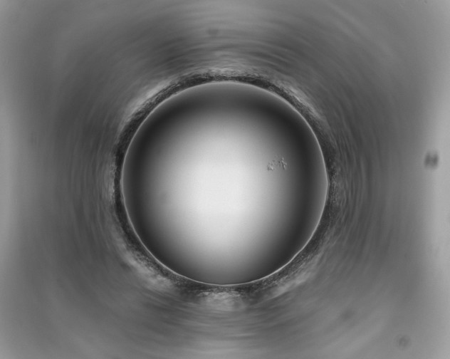 X0000091300446200708101311