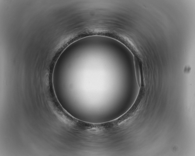 X0000091300447200708101311