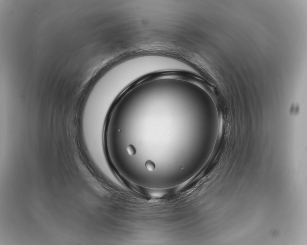 X0000091300448200708101311