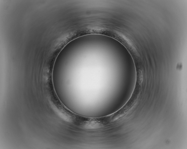 X0000091300451200708101311