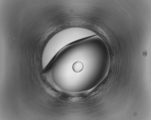 X0000091300452200708101311