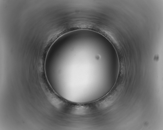 X0000091300453200708101311