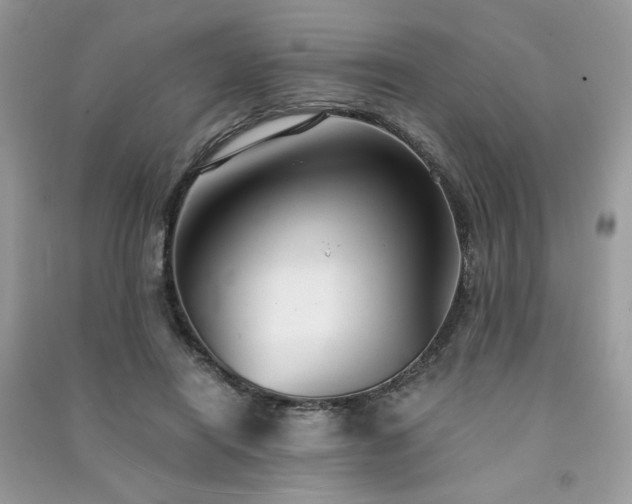 X0000091300454200708101311