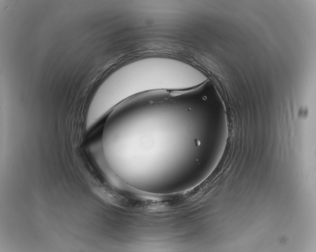 X0000091300456200708101311