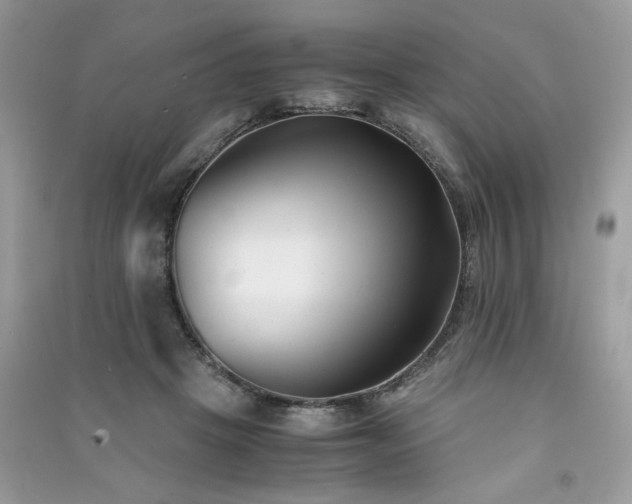 X0000091300457200708101311