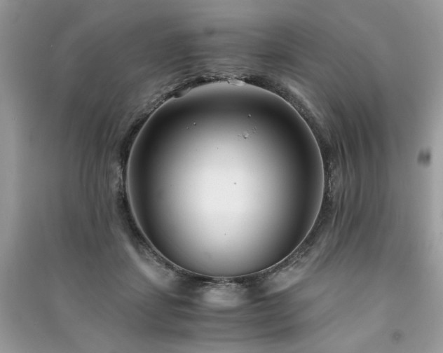 X0000091300459200708101312