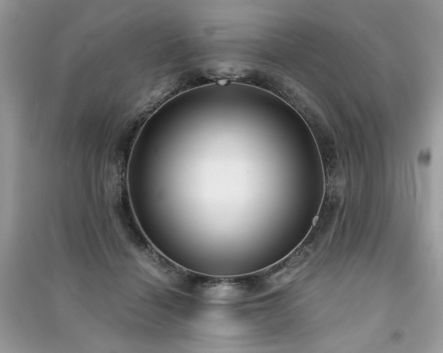 X0000091300460200708101312