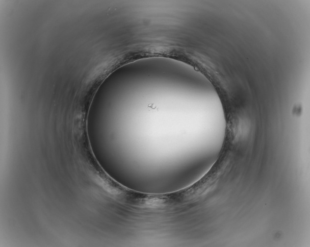 X0000091300462200708101312