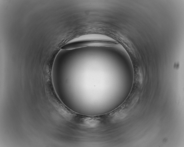 X0000091300465200708101312