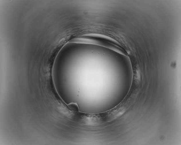 X0000091300466200708101312