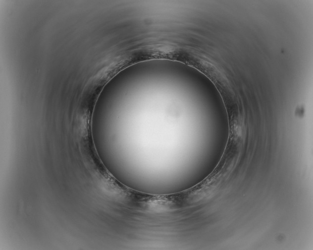 X0000091300468200708101312