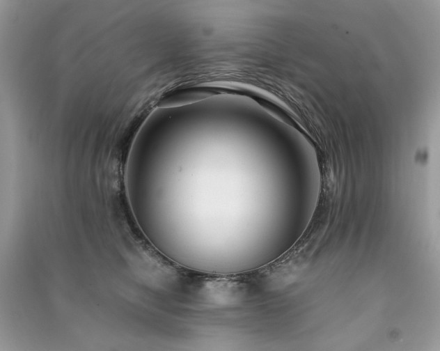 X0000091300470200708101312