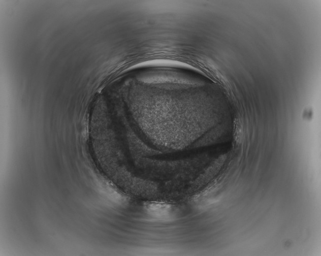 X0000091300471200708101312