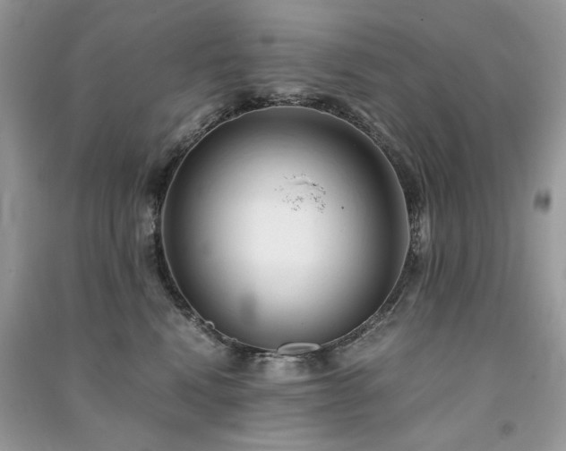 X0000091300472200708101312