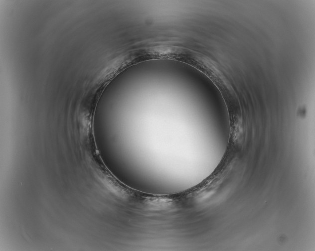 X0000091300476200708101312