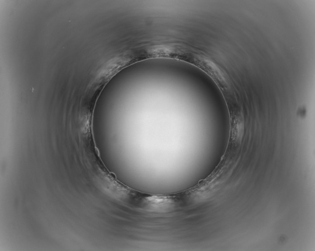 X0000091300477200708101312