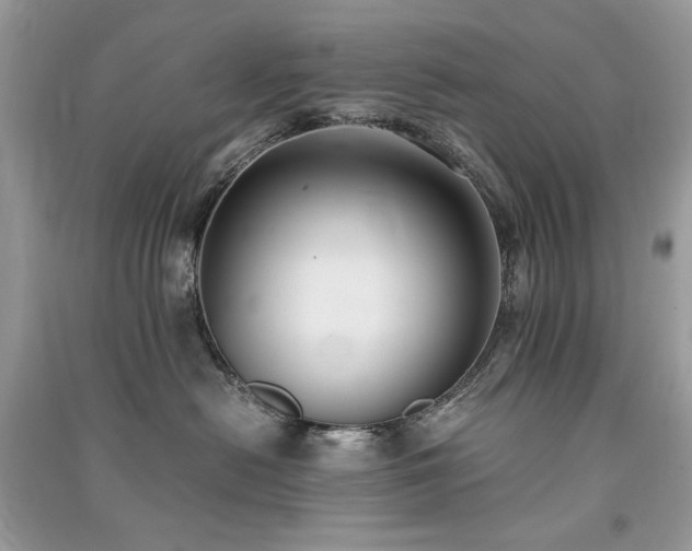 X0000091300478200708101312