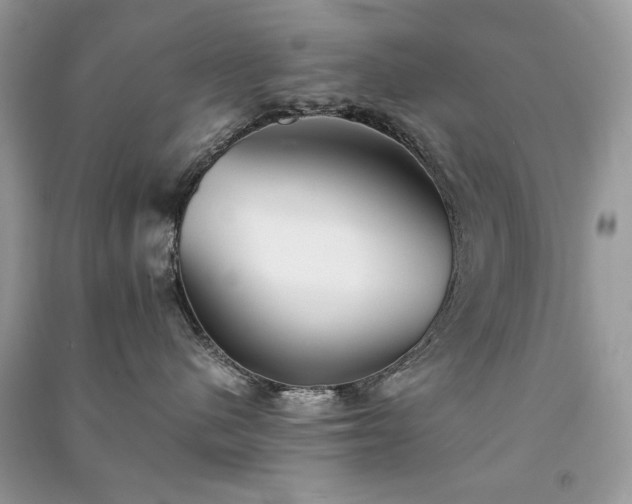 X0000091300480200708101312