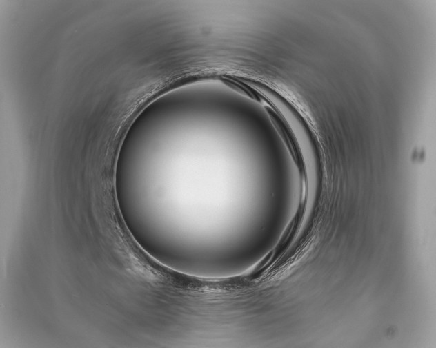 X0000091300481200708101311