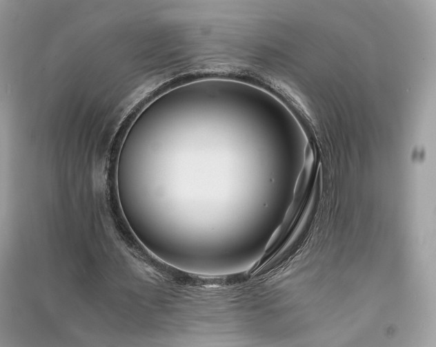 X0000091300483200708101311