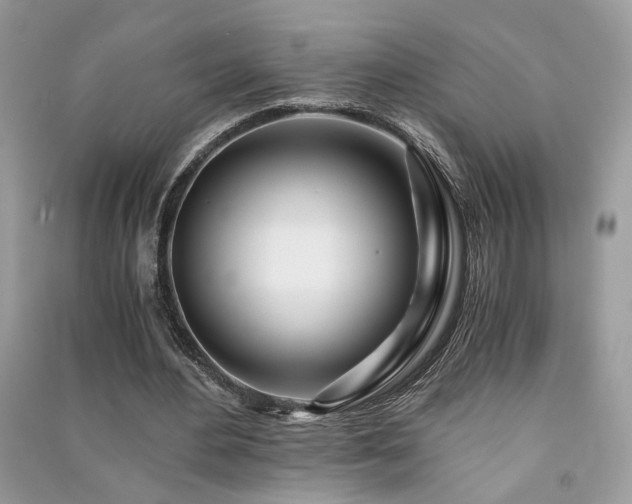 X0000091300484200708101311