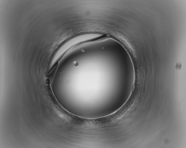 X0000091300489200708101311