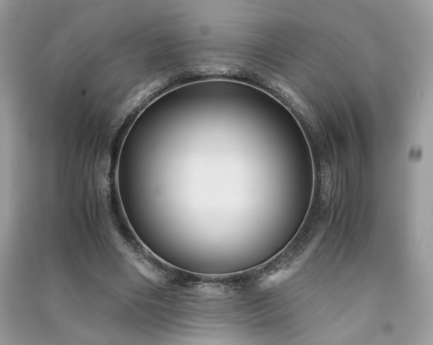 X0000091300490200708101311