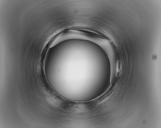 X0000091300492200708101311