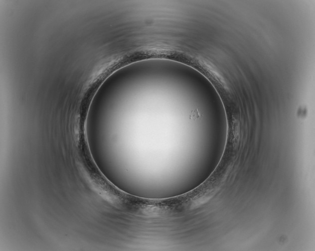 X0000091300494200708101311