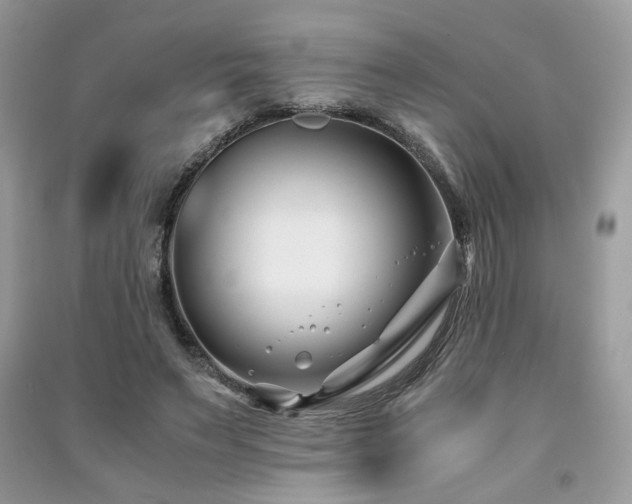 X0000091300495200708101311