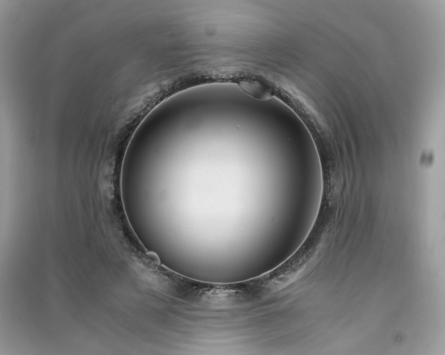 X0000091300497200708101311