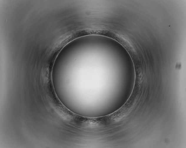 X0000091300498200708101311