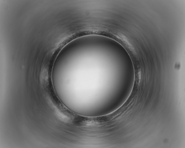 X0000091300500200708101311