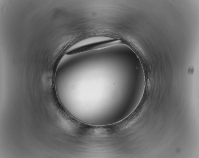 X0000091300501200708101311