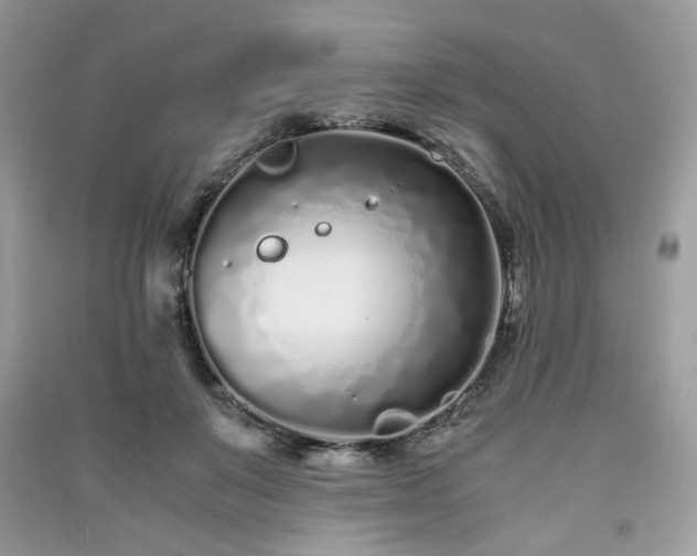 X0000091300503200708101311